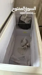  1 فريزر بحاله جيده جدا للبيع منطقة بوقوه الحجم كبير جدا
