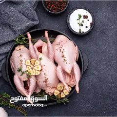  1 طائر السمان الفري او السلوى