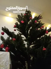  1 شجرة كريسماس طولها مترين مع زينة بدون إضاءة