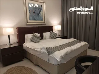  2 Large 1BHK  Serviced Apartment  Fully furnished  in Dubailand