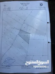  3 مزرعة زيتون مزروعة 500 شجرة ومشيكة وفيها حارس وماء
