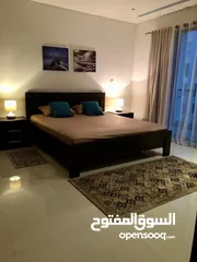  6 fully furnished apartment for rent