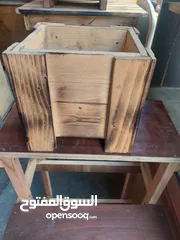  2 قوارير و مشاتل جميلة