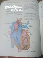  15 كتاب بعنوان biology