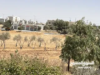  7 ارض للبيع او للمشاركة في استثمارها