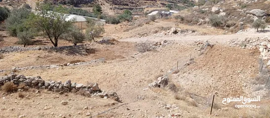  1 ارض مناسبة للبناء او الاستثمار او الزراعه