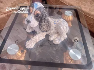  7 مناظر حيوانات للبيع بسعر مغري