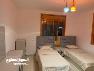  27 شقة مفروشة / الماصيون