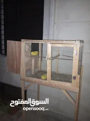 3 قنون طيور بحال الجديد للبيع
