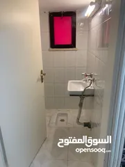  6 شقة للأيجار