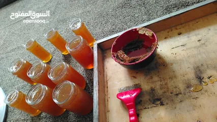  3 عسل ربيع بلدي فحص