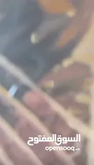  31 أثاث خارجي و حدائق
