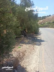  16 ارض زراعيه في بلعا دير الغصون