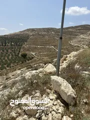  8 دونم للبيع بسعر مغري في بيت امرين قريب جدا من الخدمات و البناء