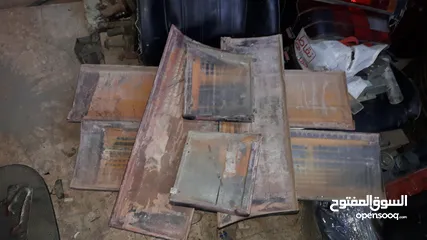  10 قطع بوز نمر