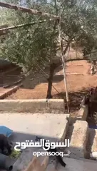  9 منزل للبيع