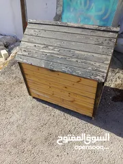  8 كوخ كلب للبيع بسعر مغري