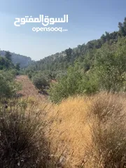  2 ارض مميزة بسعر مميز