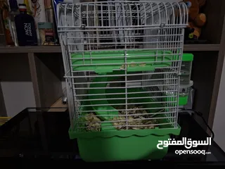  1 قفص هامستر صغير مناسب للبيع