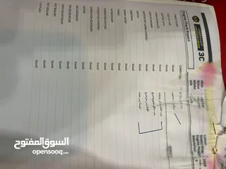  8 النترا 2019 أمريكي