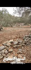 3 ارض للبيع بروقين سلفيت