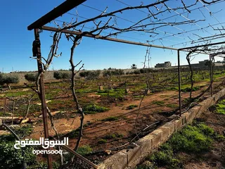  24 هكتارين لبيع في بوهادي خلف مصنع القطراني  