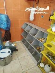  11 مطعم  شعبي حمص وفلافل للبيع بكامل معداته بكامل معداته وبسعر حرق