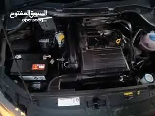  2 بولو جير عادي الحبة النادرة باللون و الجمال و الفحص