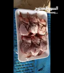 1 فري مذبوح جاهز