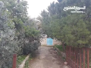  6 بيت للبيع في الحصن "قوشان مستقل" على مساحة ارض 908 م2 قرب شارع اربد عمان الرئيسي وصيدلية الشتاء