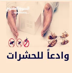  4 شركه الخليجيون مكافحة حشرات والقوارض