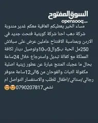  1 شركة دهب للسبلاش
