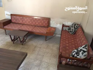  1 تخم عربي للبيع