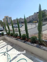  4 مشاتل الرويال لزراعه ومتابعه الاشجار