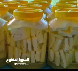  2 جبنة غنم صافي بالمستكة و المحلب