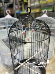  8 قفص مطاول أبيض أسود بخ حراري