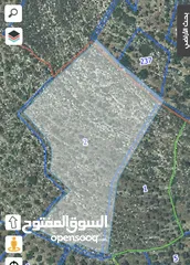  1 ارض 13 دونم عصيره الشماليه  25 الف الدونم