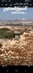  2 ارض للبيع في منطقه عين قنيا  للبيناء  750متر