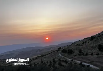  12 تملك الان فرصة العمر قطعة ارض من اراضي غرب عمان مطلة على فلسطين و الاغوار و البحر الميت و سد الكفرين
