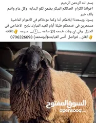  1 لحام متنقل لذبح الاضاحي في المنزل الحجز المبكر يضمن لكم البدايه وكل عام وانتم بخير   عمان