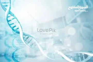  10 تدريس المواد الطبية لطلاب الطب والأسنان والصيدلية وعمل البحوث الطبية وتحليل البيانات