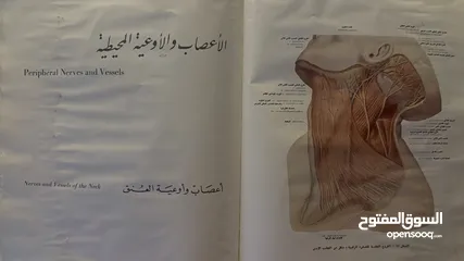  4 كتب طبية لطلاب طب الاسنان والطب البشري حالة ممتازة وشبه جديدة عمرهم فوق ال 30 سنة تقريباً