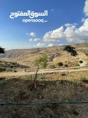  24 مزرعة في مغاريب السلط من المالك مباشرة