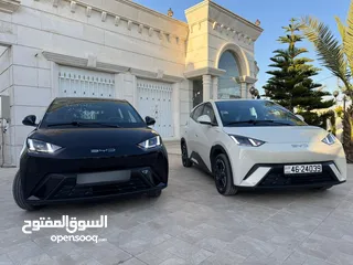  8 بي واي دي سيجول مستعمل