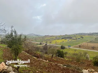  4 ارض للبيع في الأردن