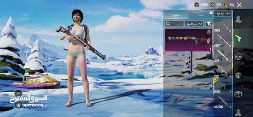  27 أحساب ببجي البيع