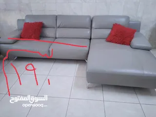  3 تخم جلد للبيع