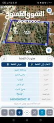  1 مزرعه للبيع الدجنية