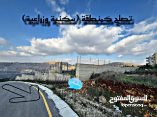  4 متوفر قطعة ارض في منطقة عطارة مساحة 2.8دونم