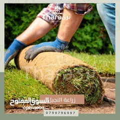  13 تصميم و تنسيق و صيانة الحدائق و شبكات الري